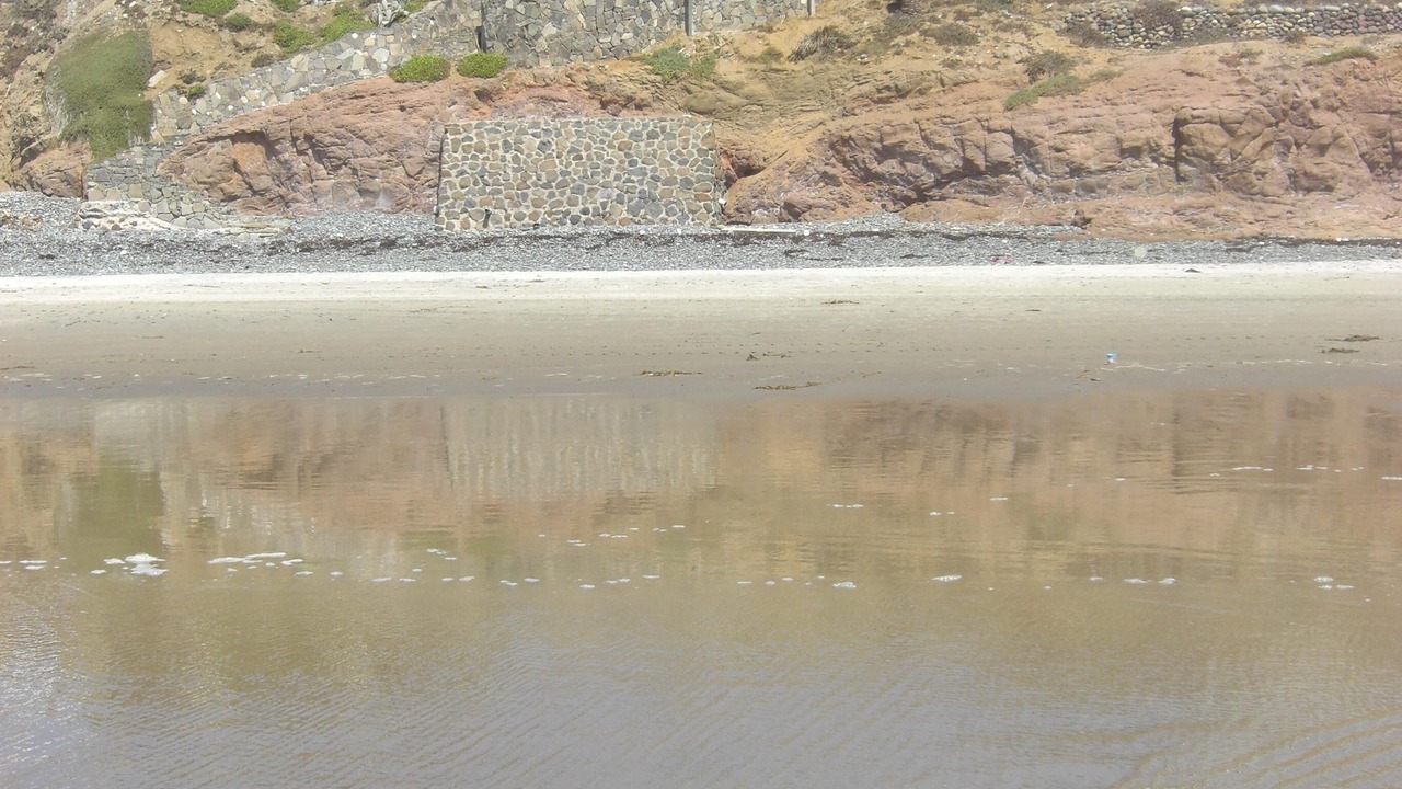 Photo of Others in Primo Tapia