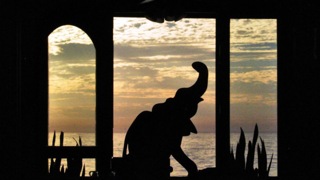 Photo of Others in Primo Tapia