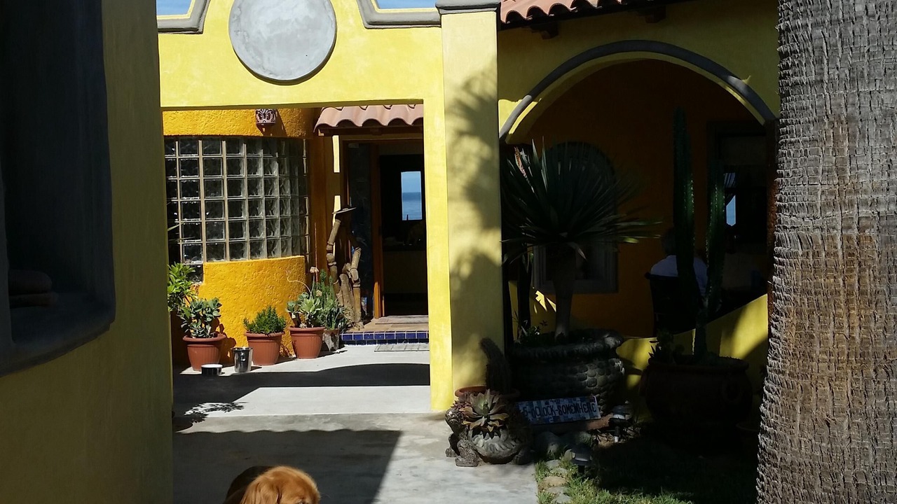 Photo of Others in Primo Tapia