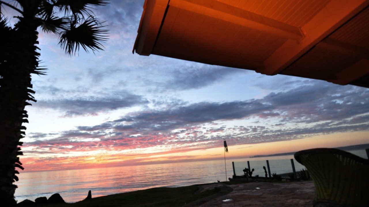 Photo of Others in Primo Tapia