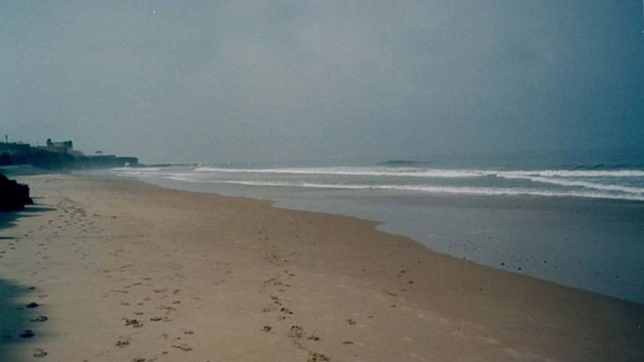 Photo of Others in Primo Tapia