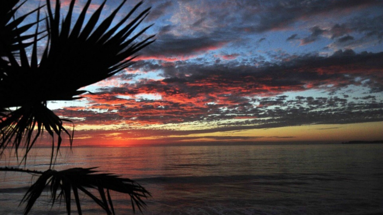 Photo of Others in Primo Tapia