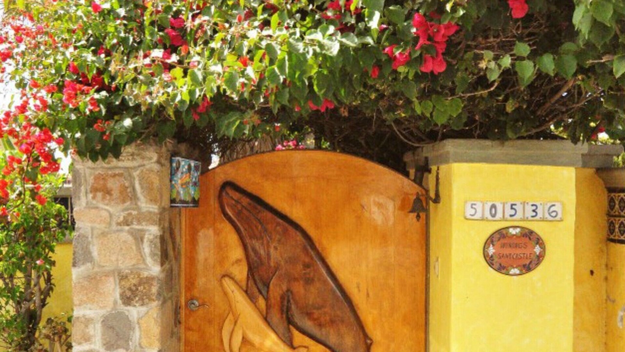 Photo of Others in Primo Tapia