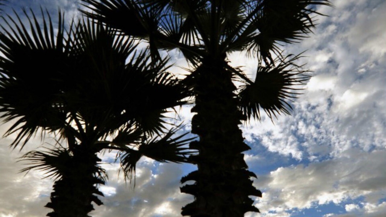 Photo of Others in Primo Tapia