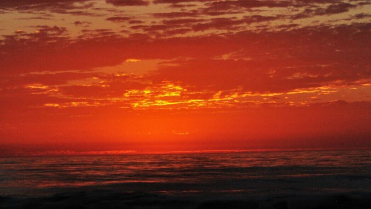 Photo of Others in Primo Tapia