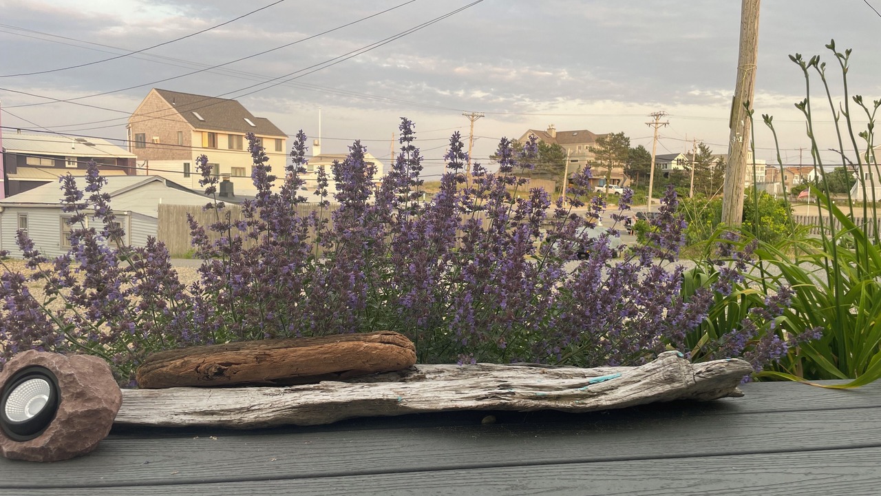 Photo of Others in Newbury