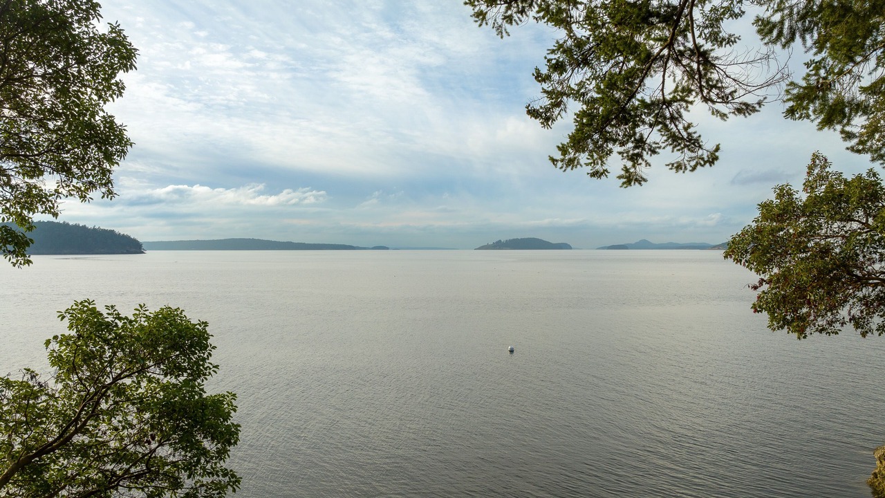 Photo of Others in Deer Harbor