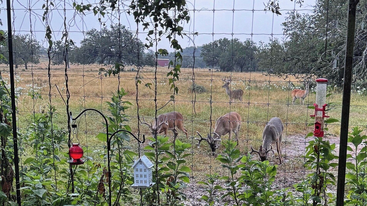 Photo of Outdoor in Fredericksburg