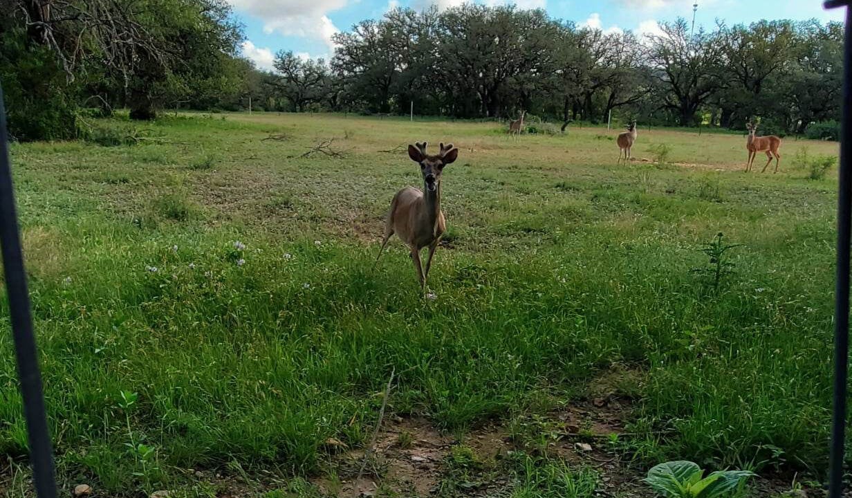 Photo of Outdoor in Fredericksburg