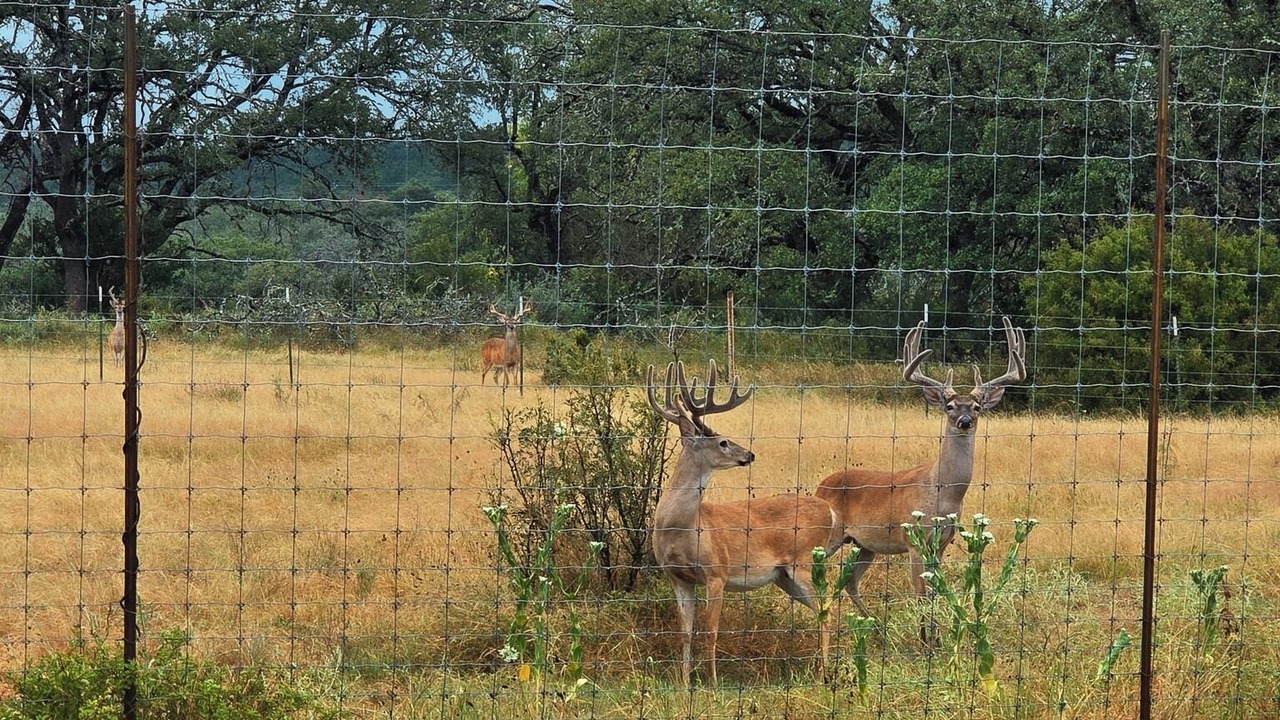 Photo of Others in Fredericksburg