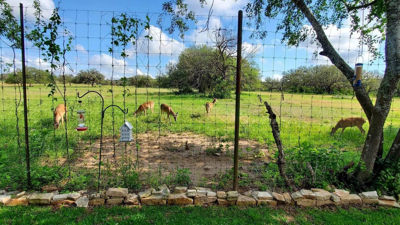 Photo of Outdoor in Fredericksburg