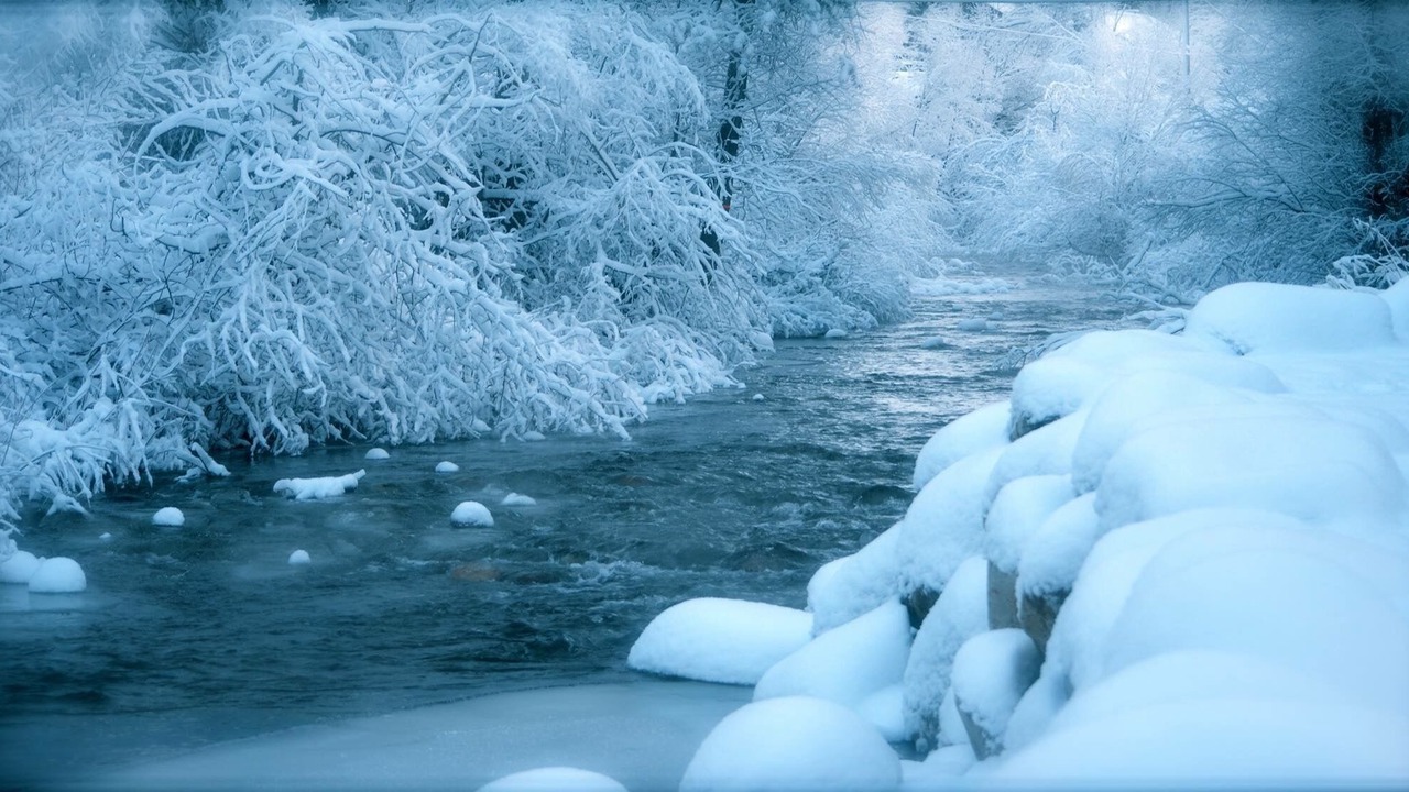 Photo of Others in Steamboat Springs