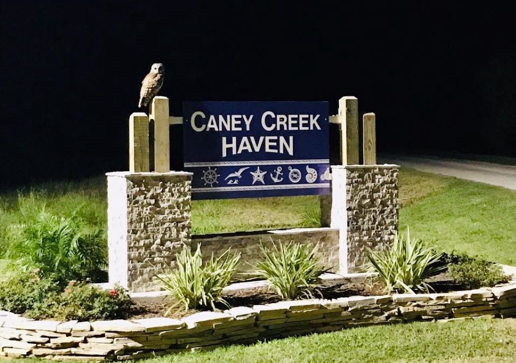 Photo of Outdoor in Cedar Lane