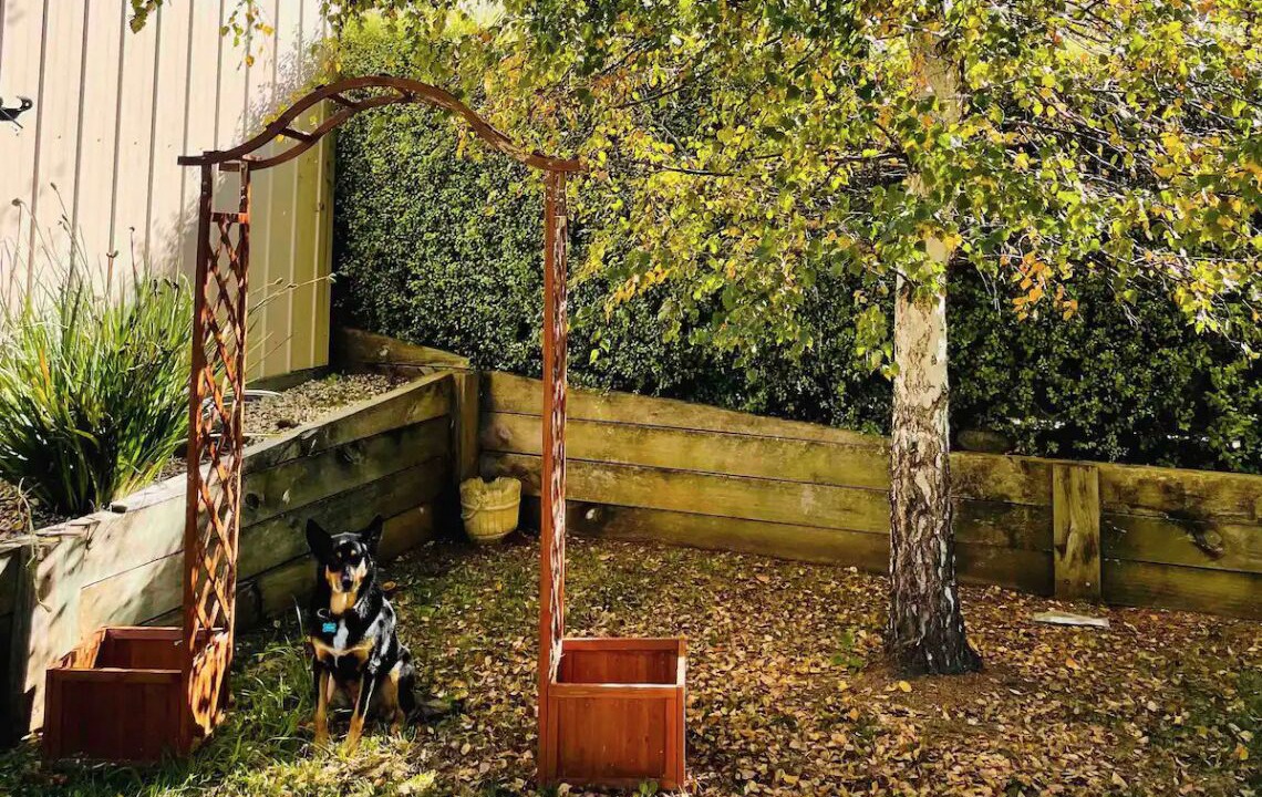 Photo of Others in Tawonga South