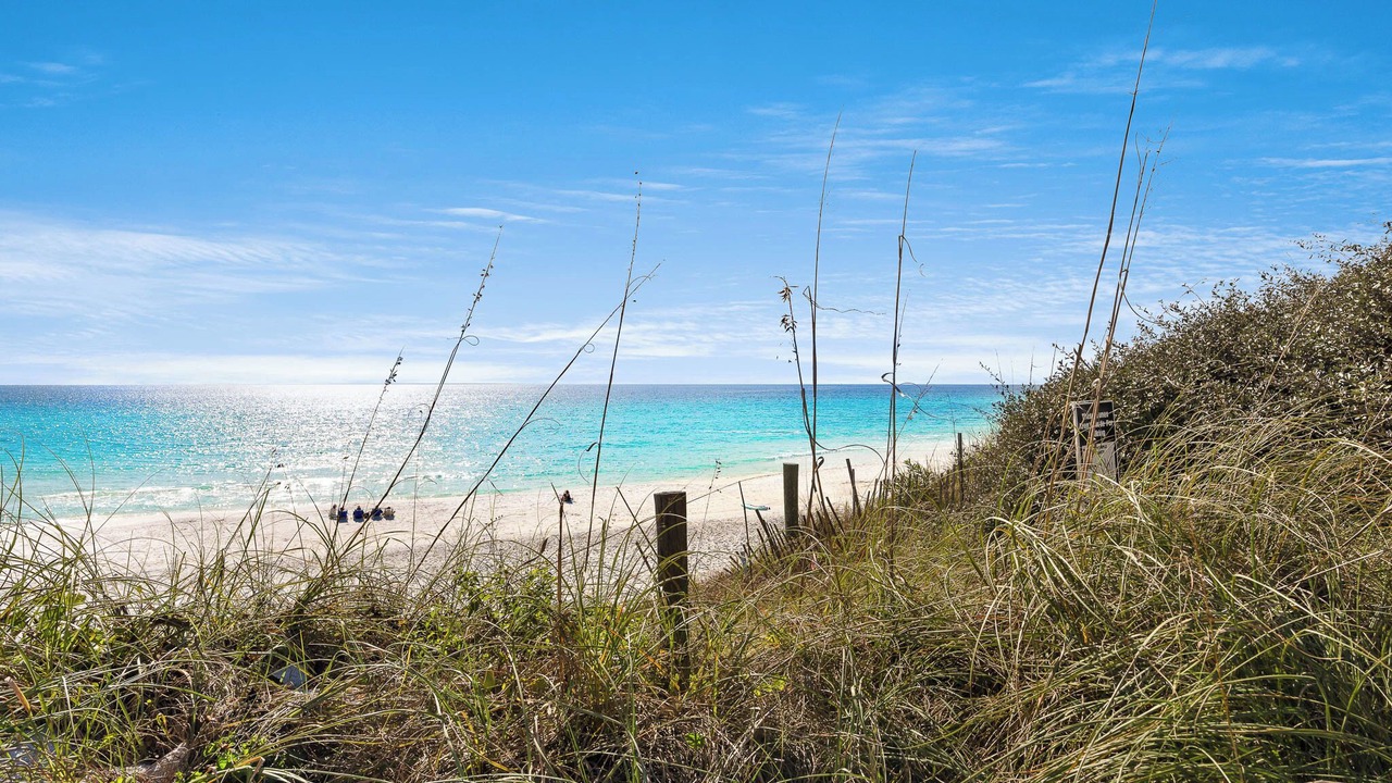 Photo of Others in Santa Rosa Beach