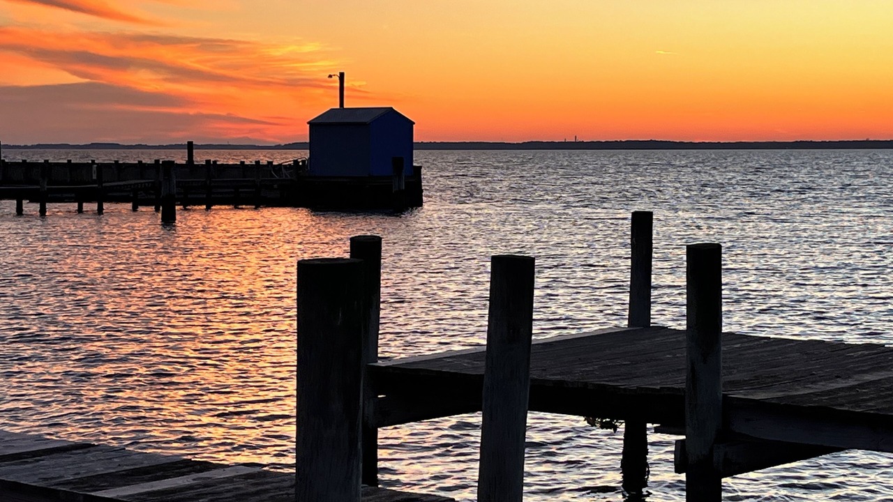 Photo of Others in Dewey Beach