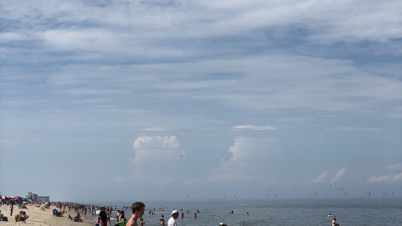 Photo of Others in Dewey Beach