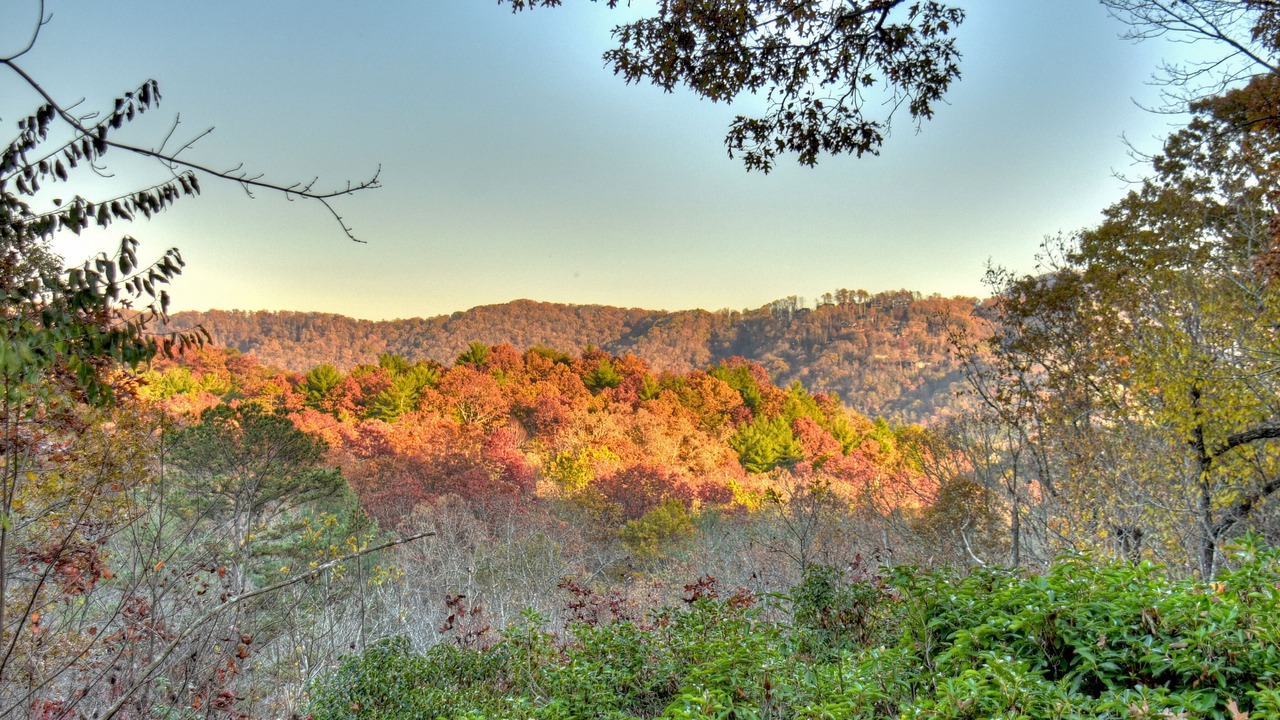 Photo of Others in Blue Ridge