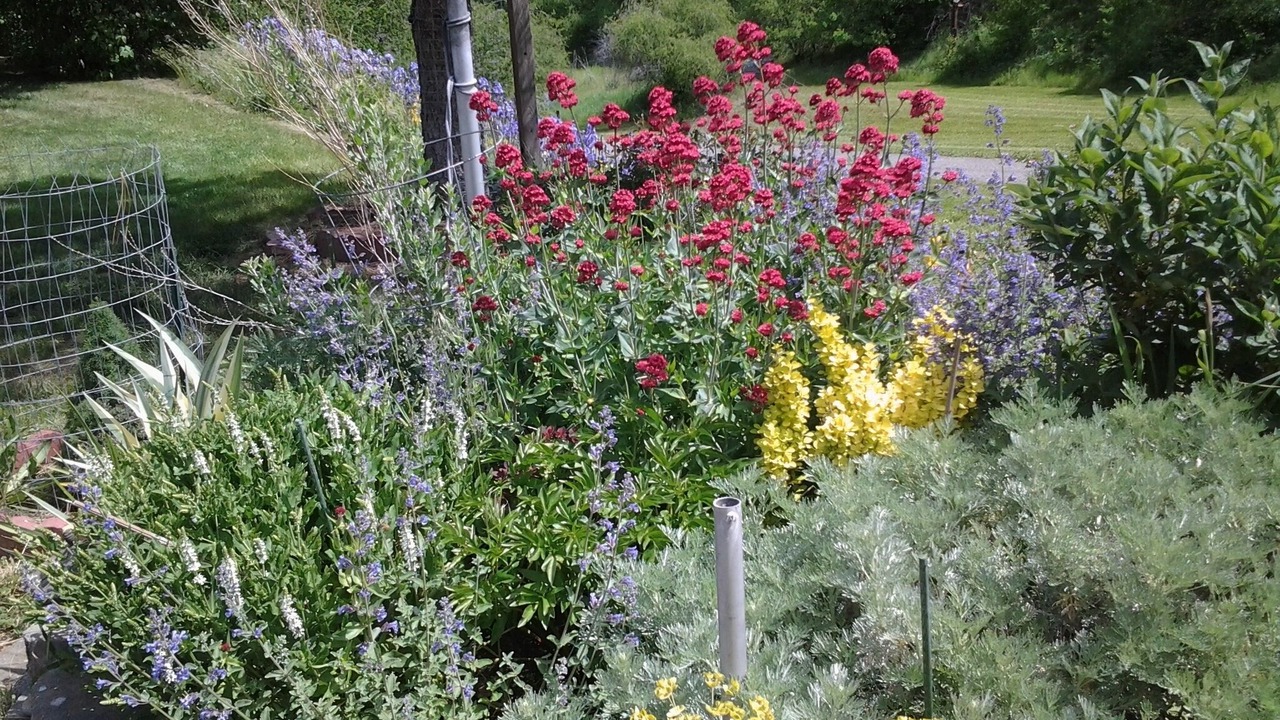 Photo of Outdoor in White Bird