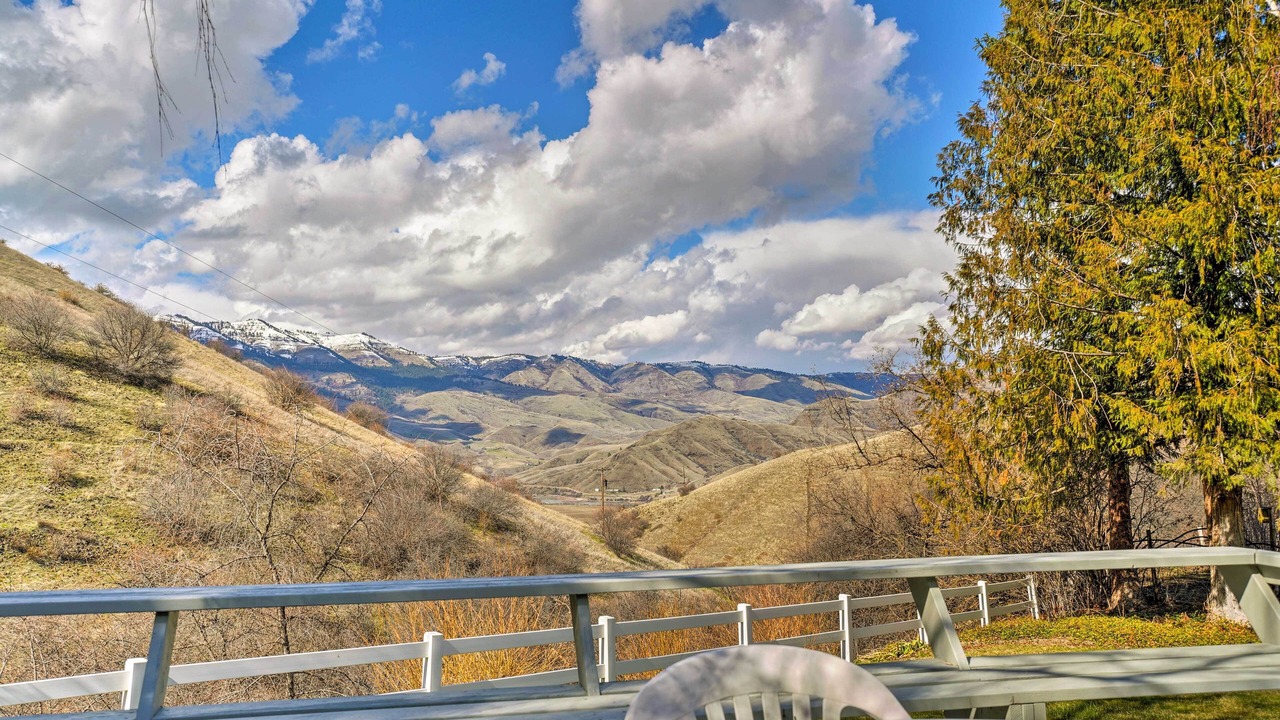 Photo of Others in White Bird