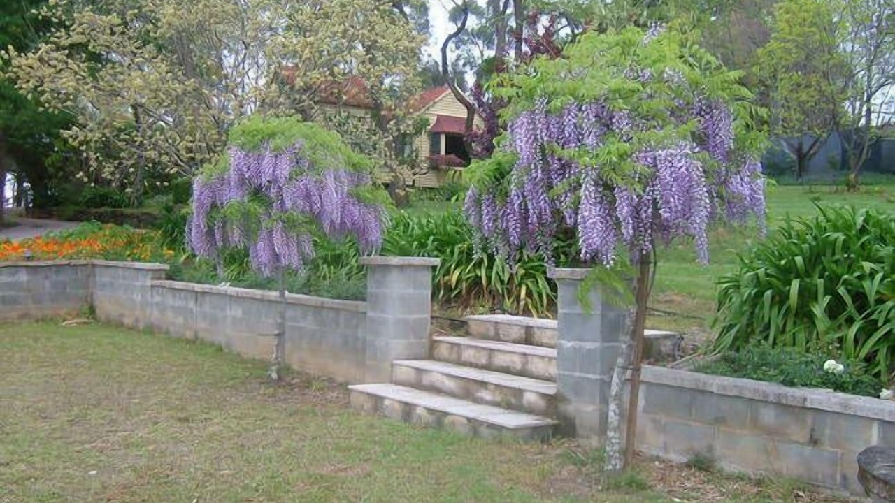 Photo of Outdoor in Grose Vale