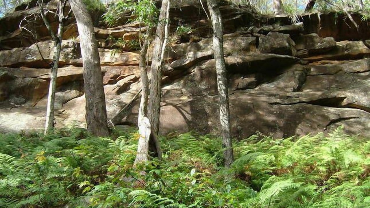 Photo of Outdoor in Grose Vale