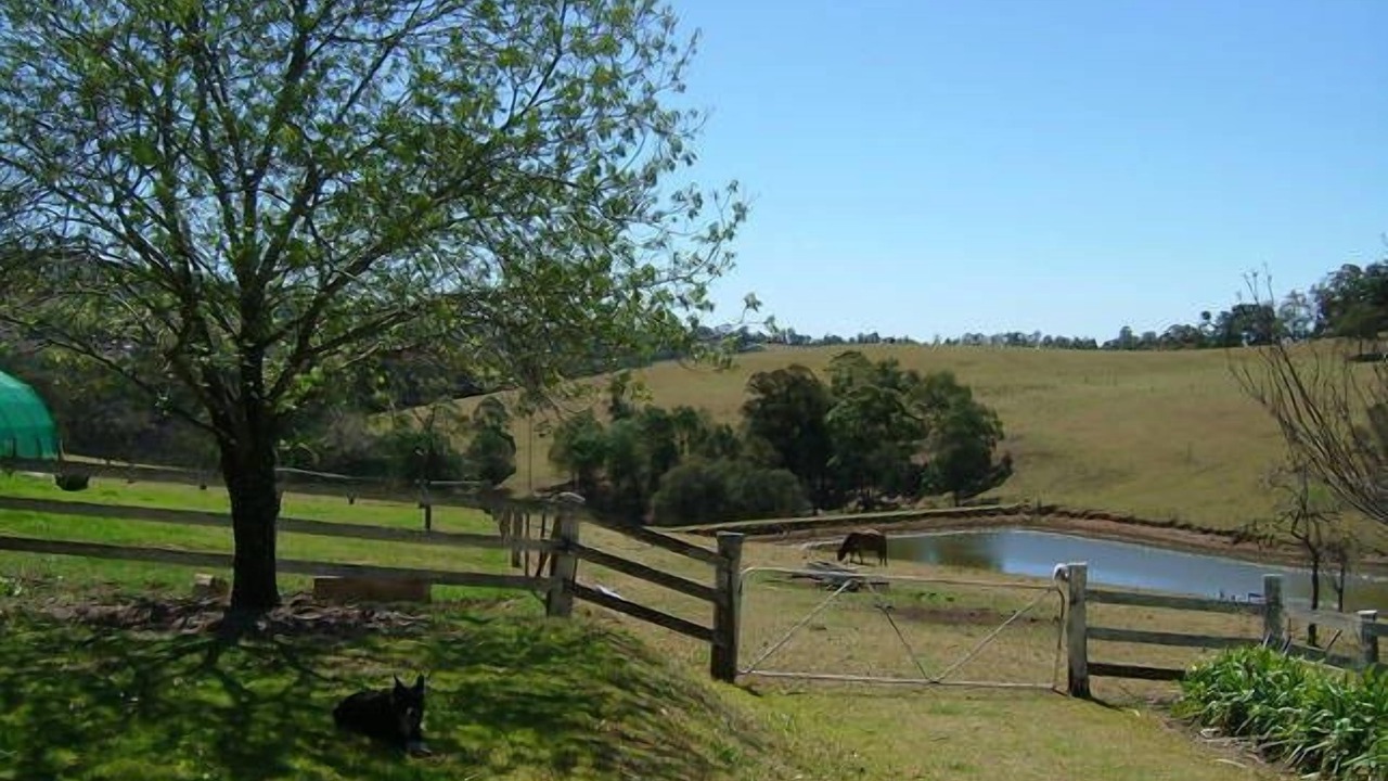 Photo of Outdoor in Grose Vale