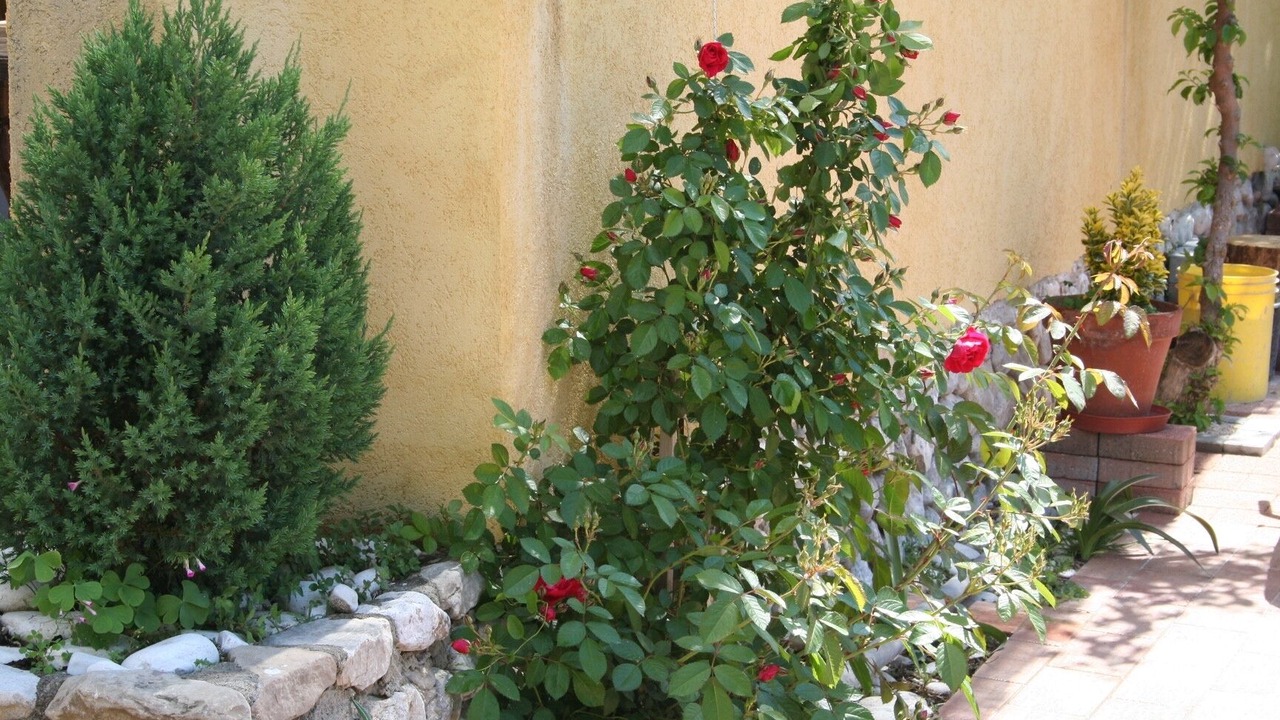 Photo of Outdoor in Promajna