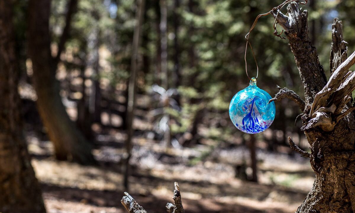 Photo of Others in Divide