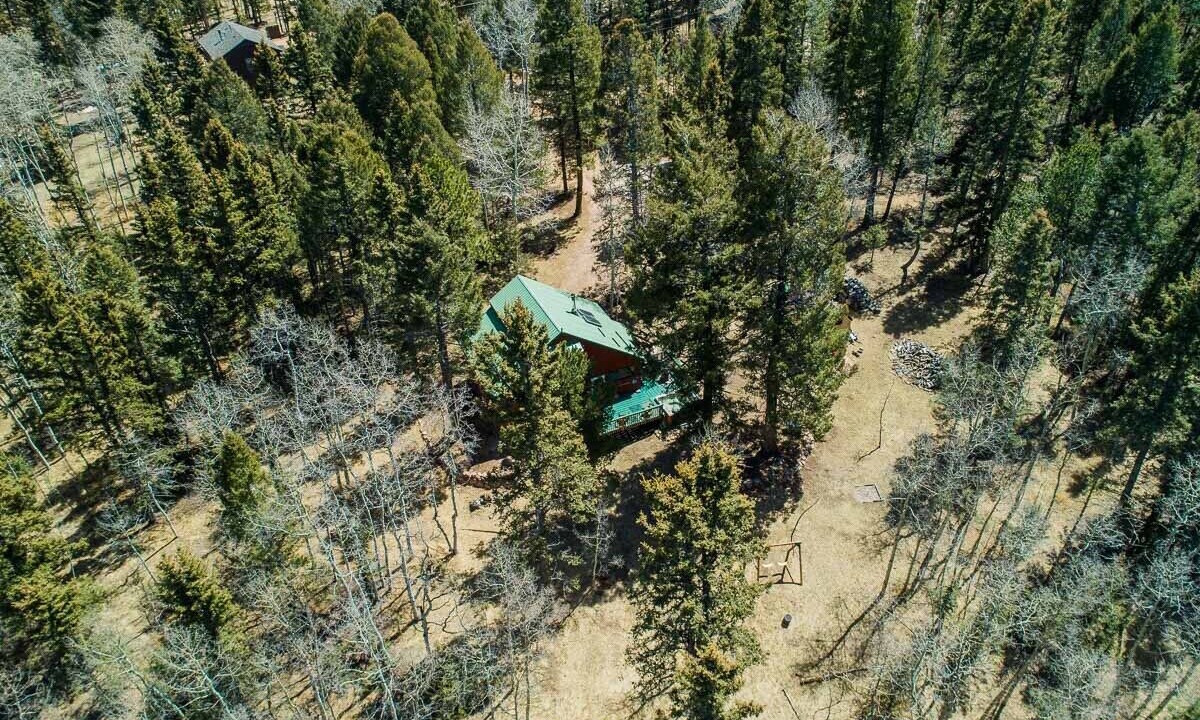 Photo of Others in Divide