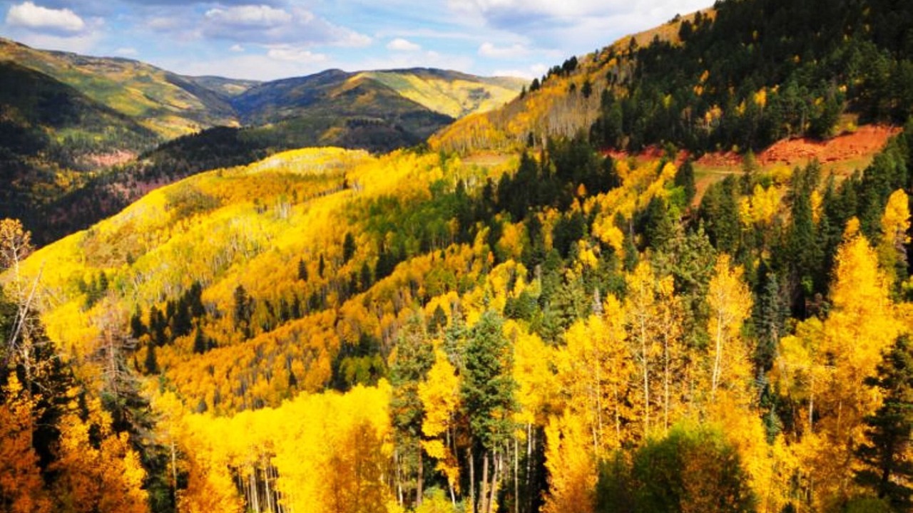 Photo of Others in Divide