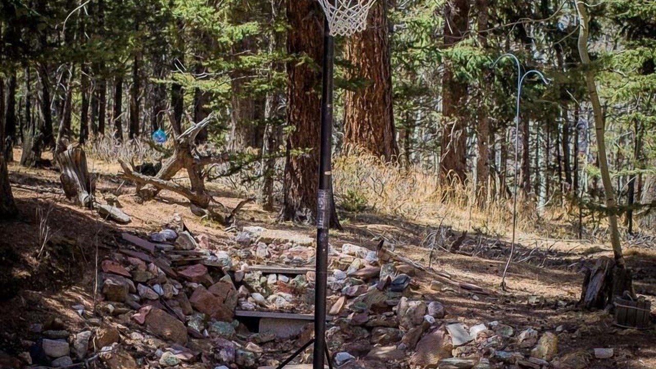 Photo of Others in Divide