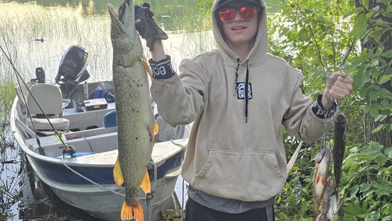 Photo of Others in Timiskaming District