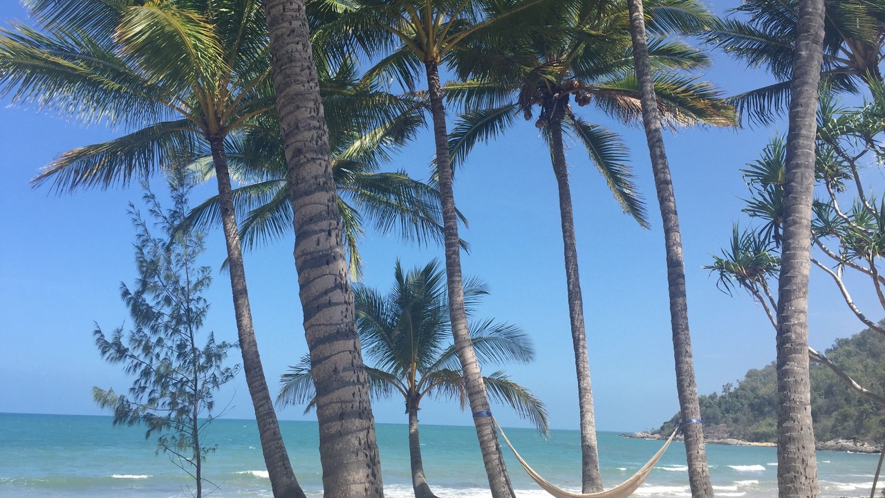 Photo of Others in Oak Beach