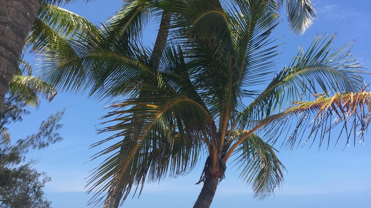 Photo of Others in Oak Beach
