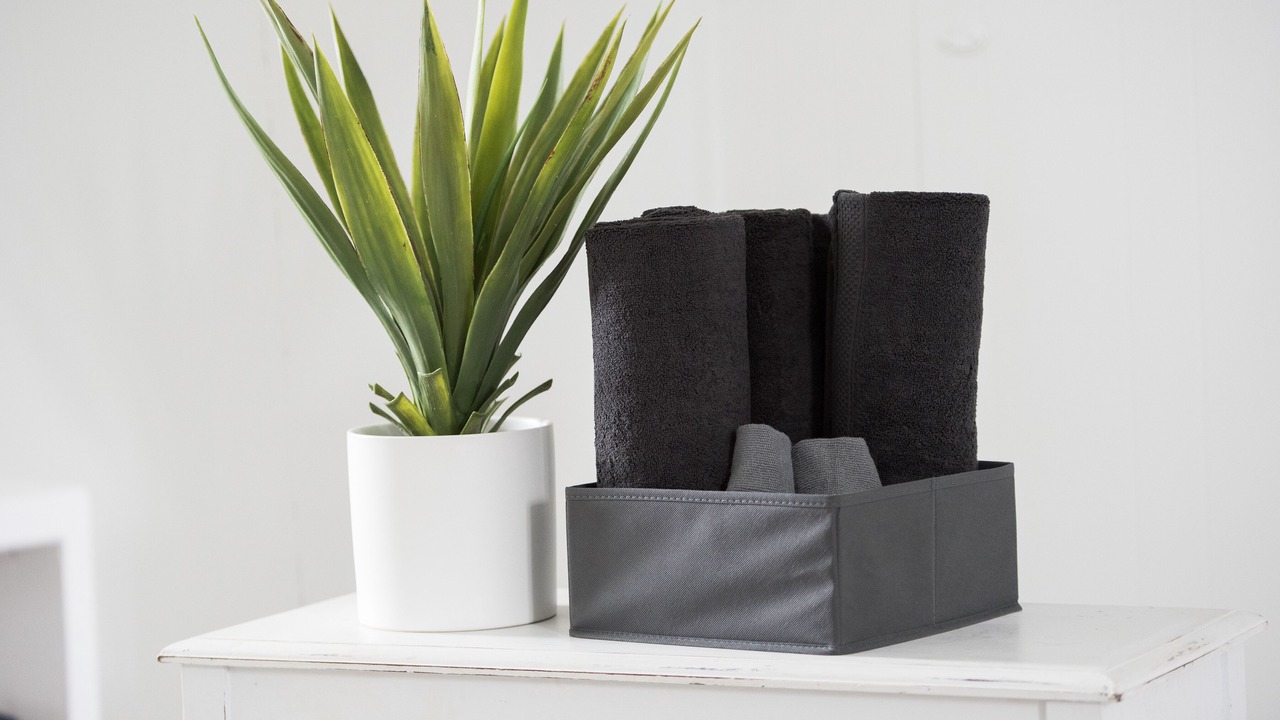 Photo of Others in Conestoga