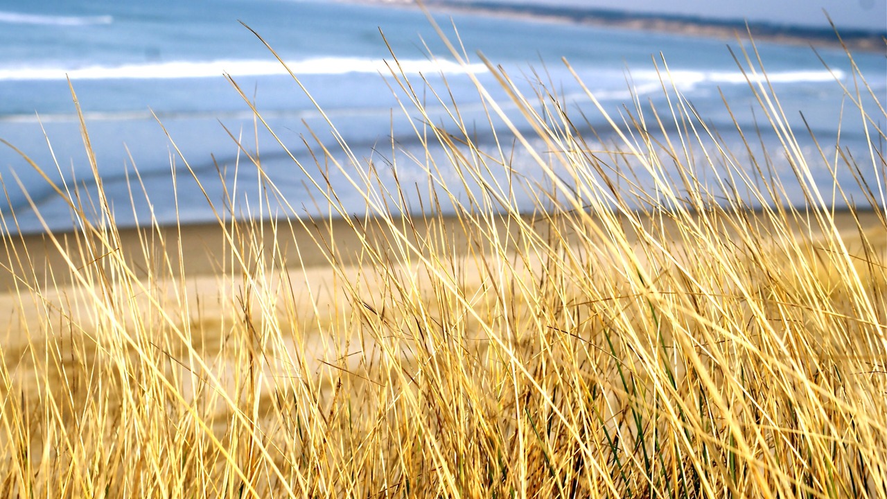 Photo of Others in Le Touquet-Paris-Plage