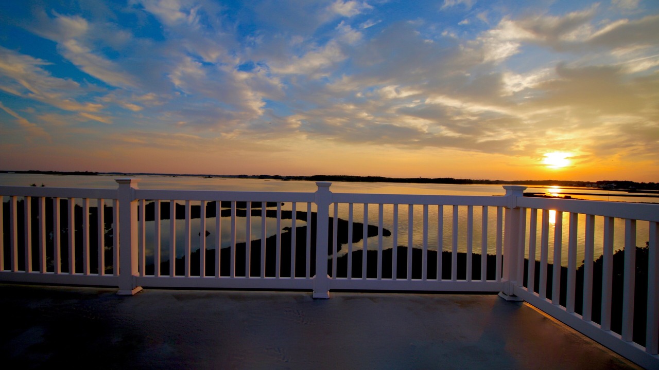 Photo of Others in Selbyville