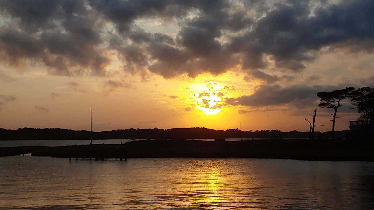 Photo of Others in Selbyville