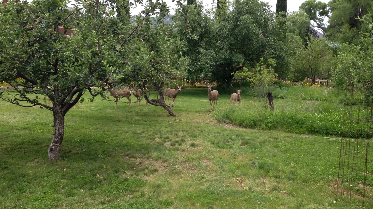 Photo of Others in Sedona