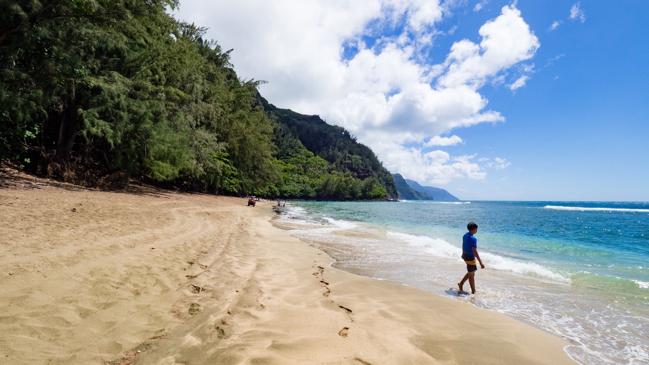 Photo of Others in Wainiha
