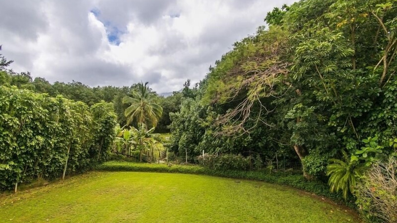 Photo of Others in Wainiha