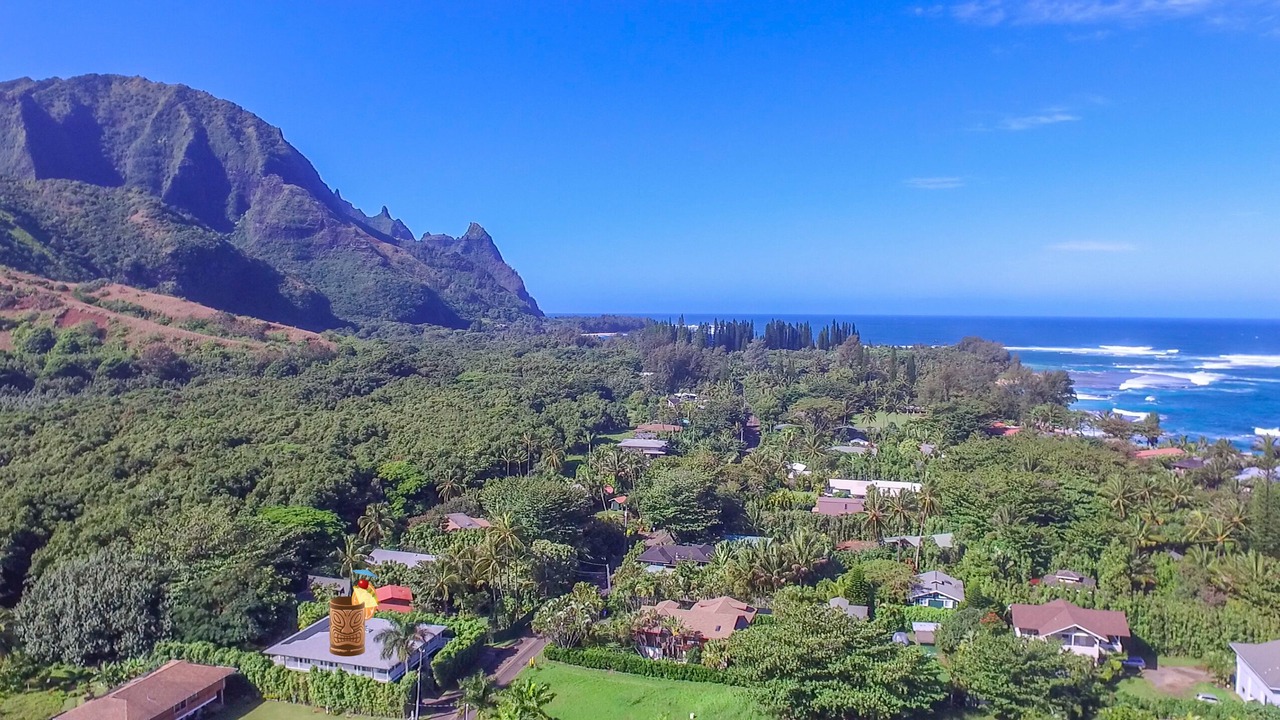 Photo of Others in Wainiha