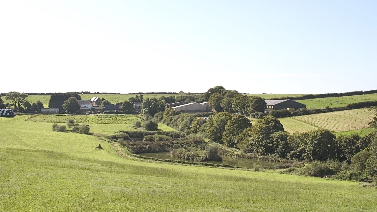 Photo of Outdoor in Pelynt