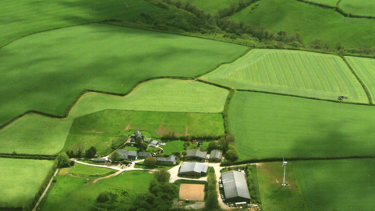 Photo of Outdoor in Pelynt