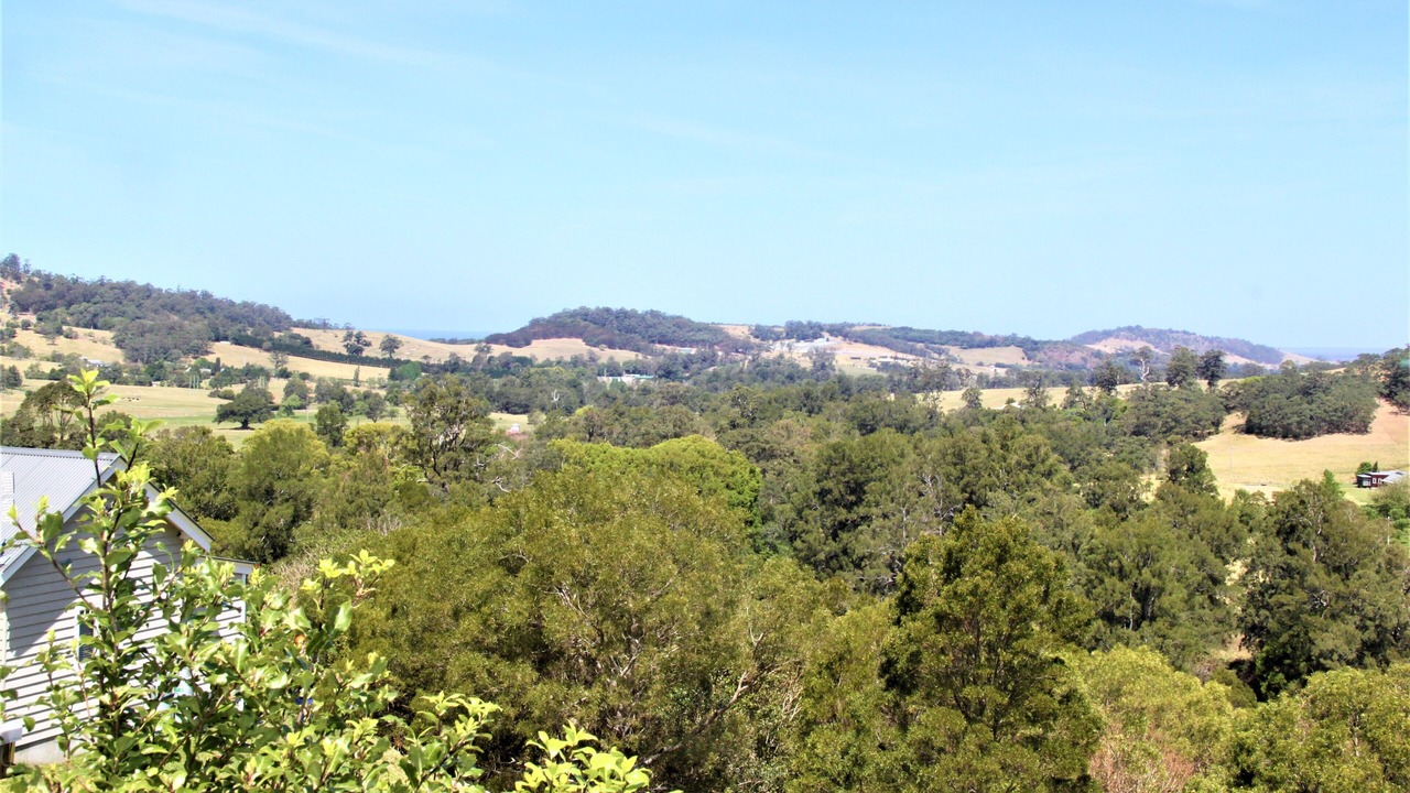 Photo of Others in Foxground