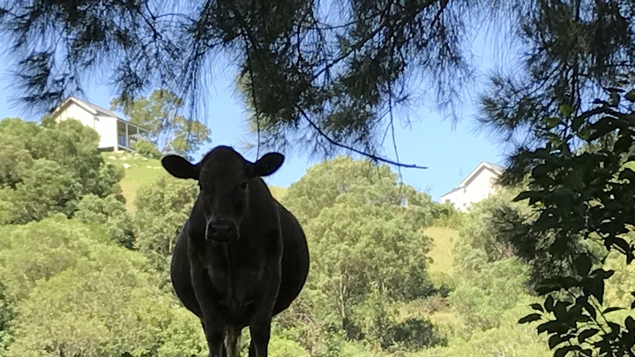 Photo of Outdoor in Foxground