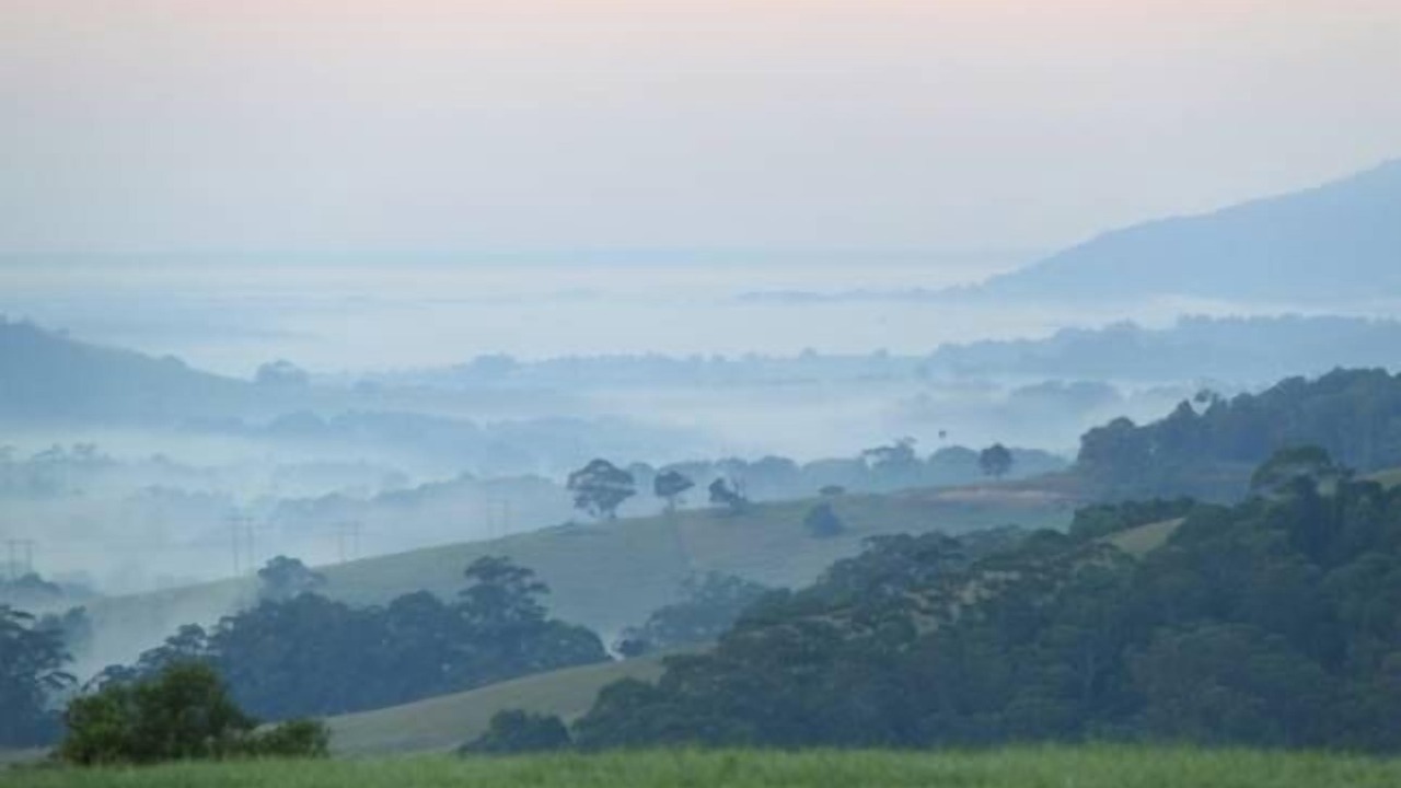 Photo of Others in Foxground