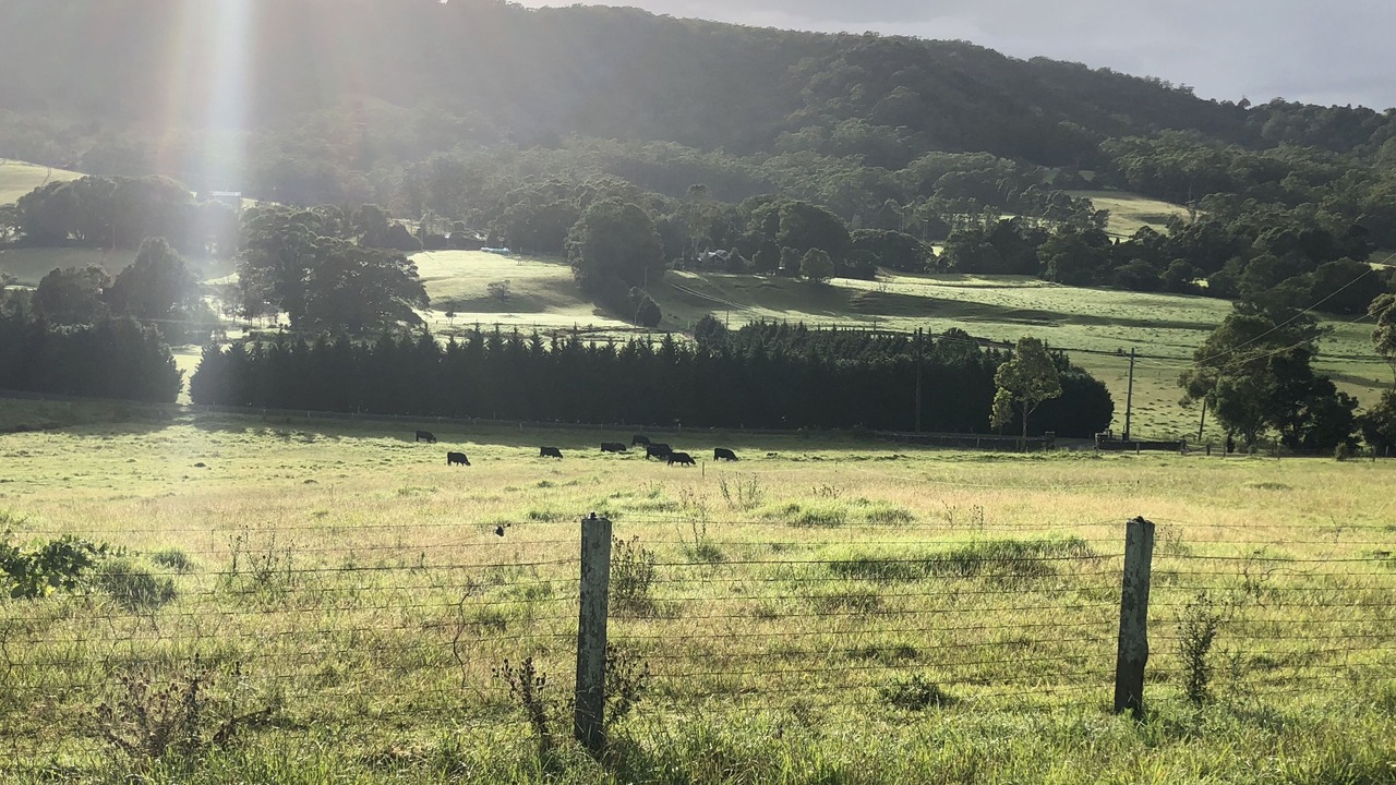 Photo of Outdoor in Foxground