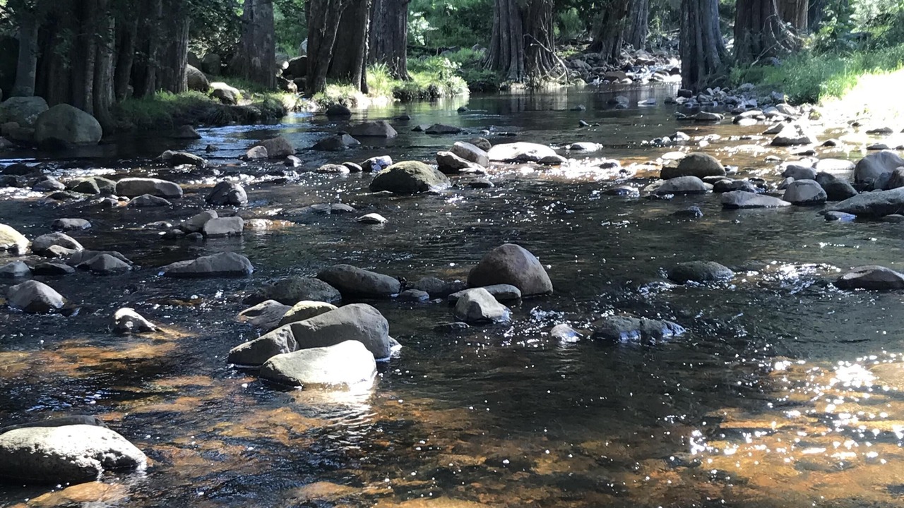 Photo of Outdoor in Foxground